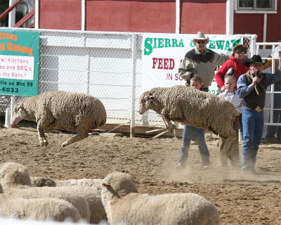 Whiskey Flats Rodeo