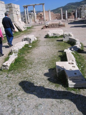 g3/50/786250/3/95148516.etdZjIZH.jpg