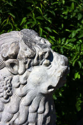 Stone Lion