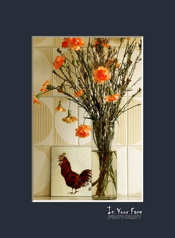 Rooster in the Kitchen