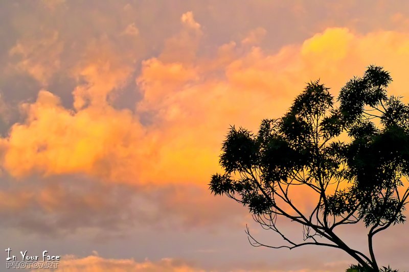 Yellow Day Sunset