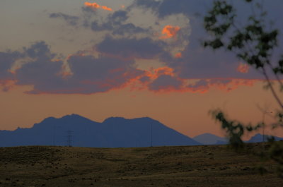 DSC_0063cr.jpg