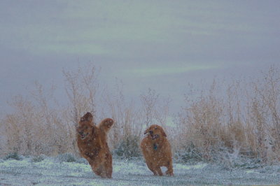 DSC_0027.jpg