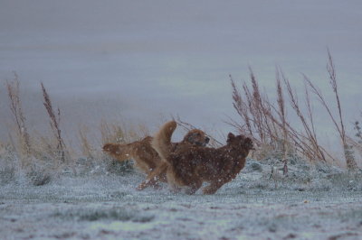DSC_0032.jpg