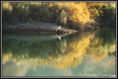 Mitry Lake ,California