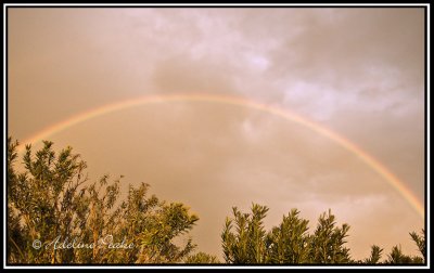 Yuma Rainbow