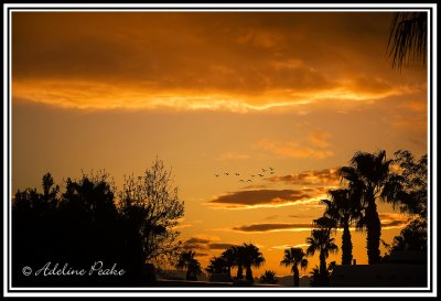 Yuma Sunset