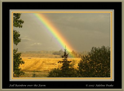 Rainbow over the field, Jarvie