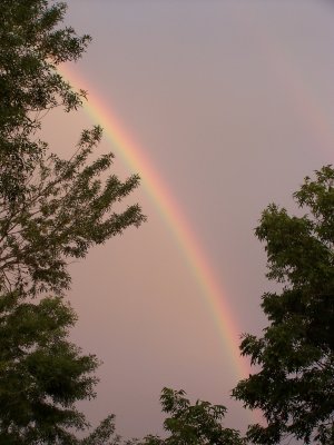 Double Rainbow 2.jpg