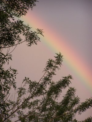 Double Rainbow 3.jpg