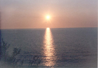 g3/50/820550/3/90465269.n1EHMrSQ.jpg