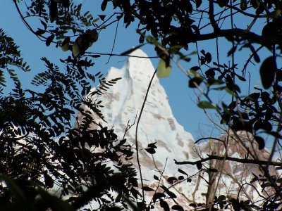 AK - Expedition Everest again.jpg
