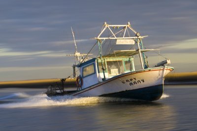 Louisiana Fisherman