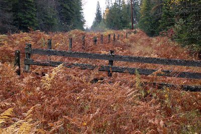 Fence line in Idaho