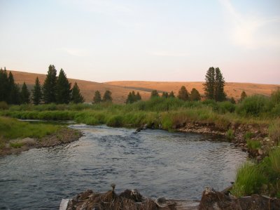 Montana trout stream