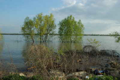 THE O'LE MAN RIVER RISING