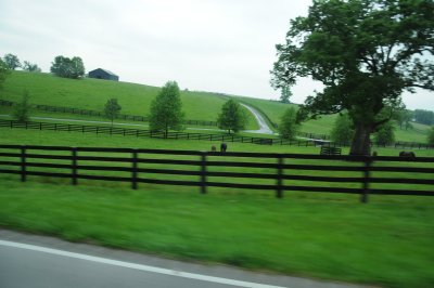 KENTUCKY HORSE FARM