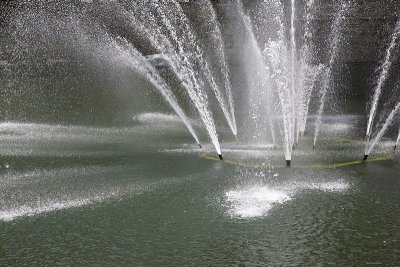g3/50/867650/3/102906648.f6nJTduO.jpg