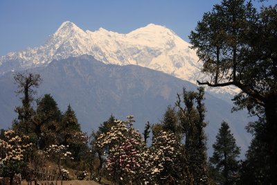 Langtang Himal