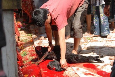 Ritual slaughter