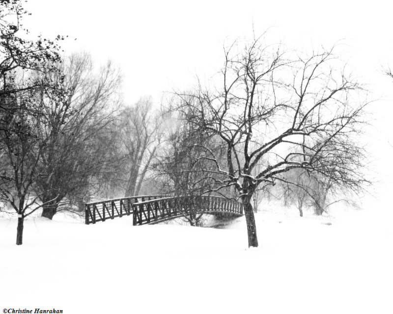 Winter walking in the snow