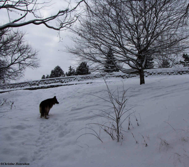 Climbing the hill