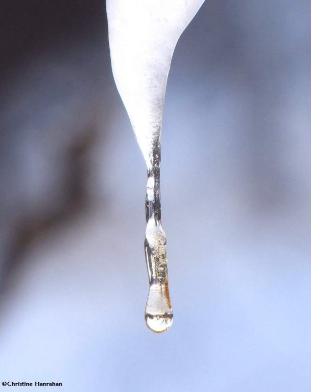 The world in a droplet of water