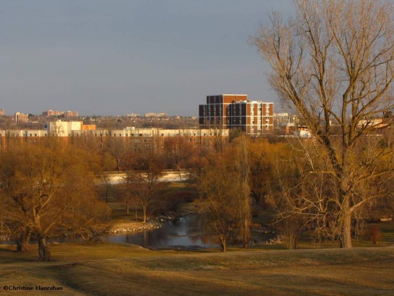 Looking east across Ottawa from the Arboretum