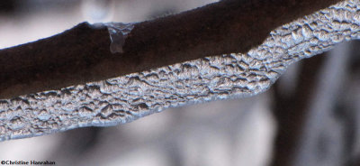g3/50/883250/3/120637944.J5q0UmZa.jpg