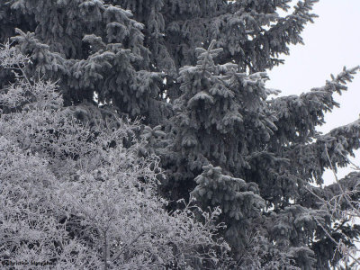 g3/50/883250/3/121099383.9nX4SoLF.jpg