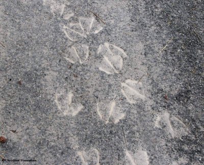 g3/50/883250/3/121738417.JRiNnfKi.jpg