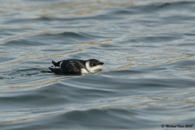 g3/50/890750/3/122550082.OdD5A2th.jpg
