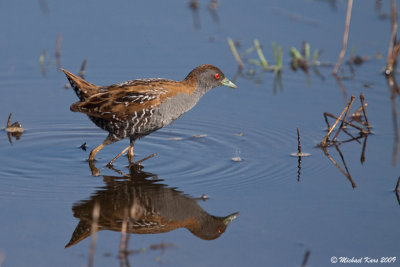 g3/50/890750/3/122587581.yNB38PiW.jpg