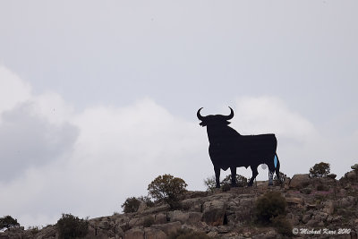 Torro