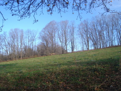 DSC02185.JPG