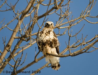 DSC_6563.jpg