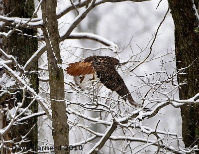 DSC_6655.jpg