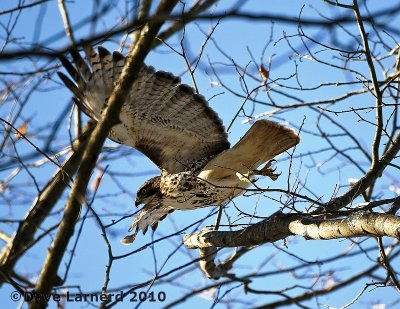 DSC_6710.jpg