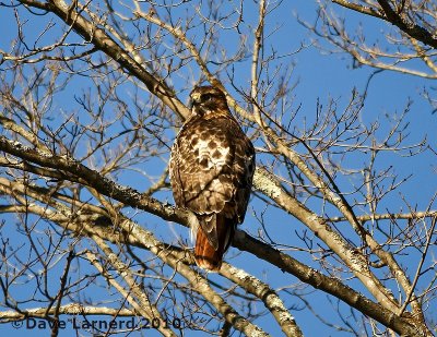 DSC_6684.jpg