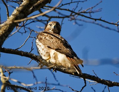 DSC_6699.jpg