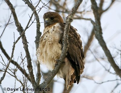 DSC_6876.jpg