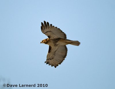 DSC_6900.jpg