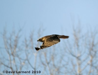 DSC_6898.jpg