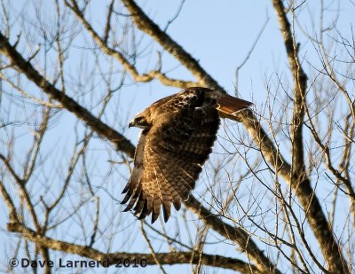 DSC_6895.jpg