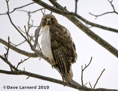 DSC_7225.jpg