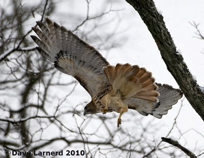 DSC_7263.jpg