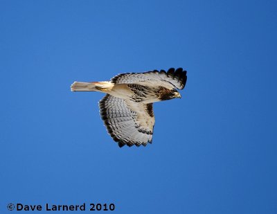 DSC_7357.jpg