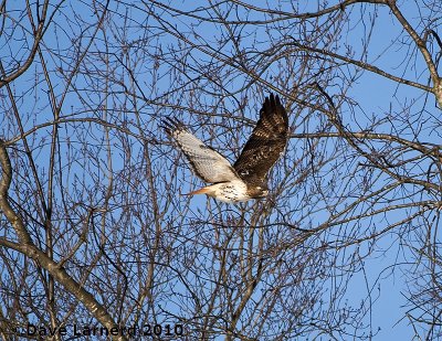 DSC_7349.jpg