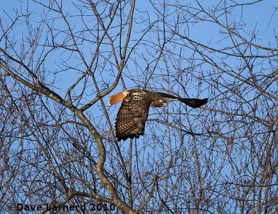 DSC_7348.jpg