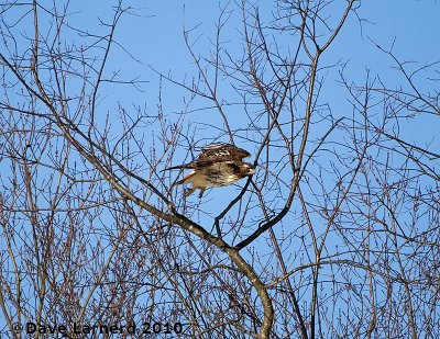 DSC_7346.jpg